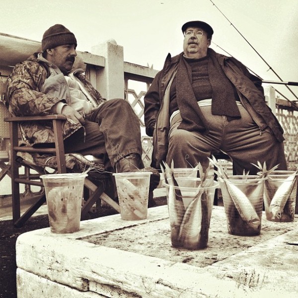 Distribution de poisson dans un port en Turquie