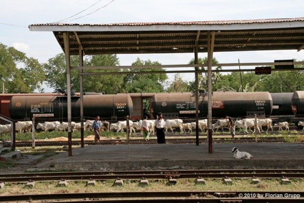 La gare de Thazi en Birmanie (Myanmar)... ambiance très locale!