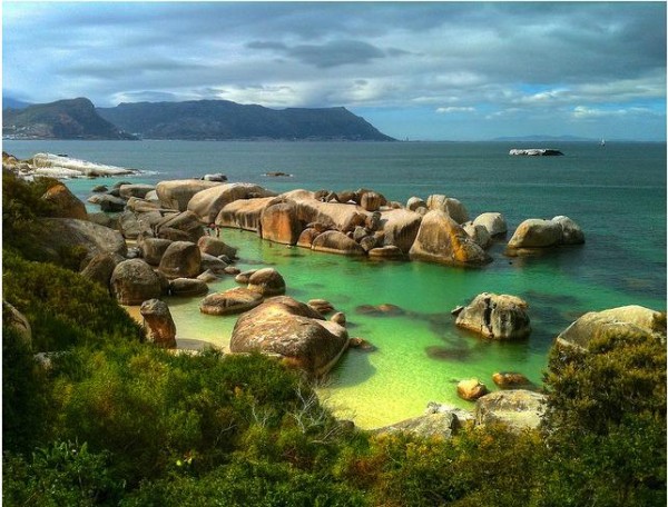 Boulder Beach en Afrique du Sud