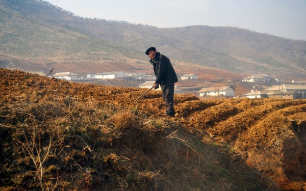 un paysan labourant sa terre à la main