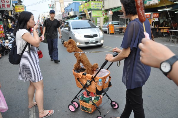 C'est mignon? Non c'est ridicule!