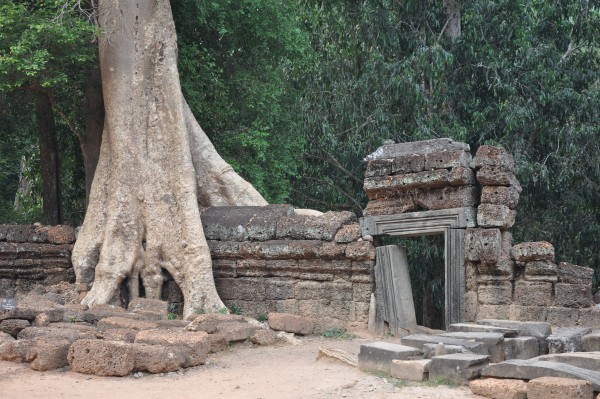 Au temple de Ta Phrom, les arbres grignottent les murs