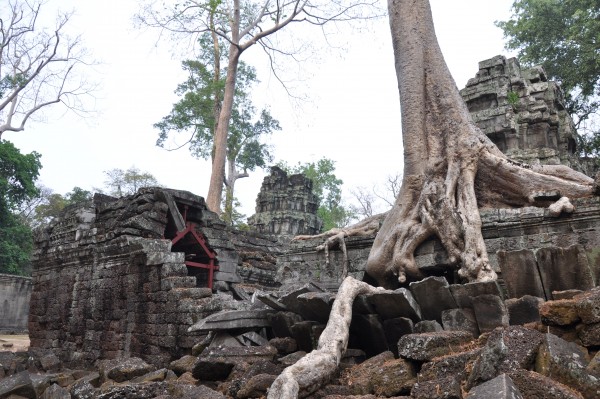 Enfin la vision que j'avais des temples d'Angkor...