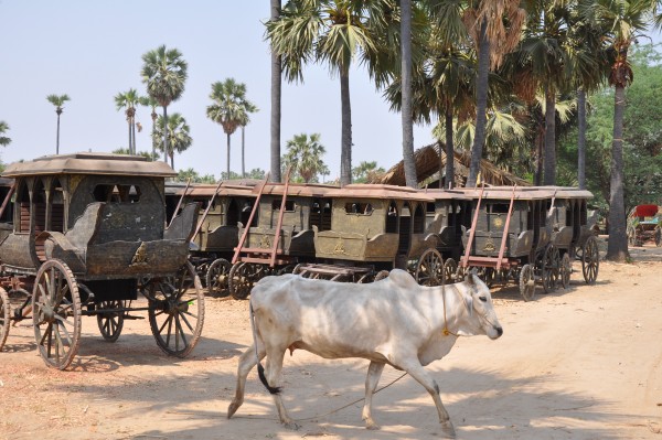 Les anciennes "diligences" de Bagan