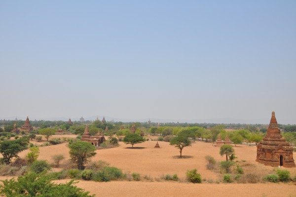 Bagan, ce sont des temples à perte de vue!