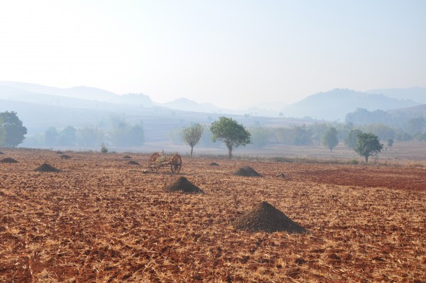 La brume recouvre encore les champs