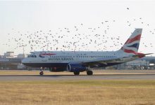 Quand un avion percute un oiseau, le résultat est surprenant et effrayant