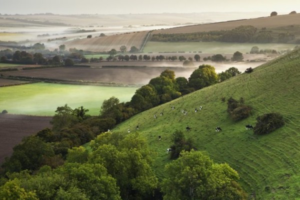Le Suffolk, ou la campagne Anglaise