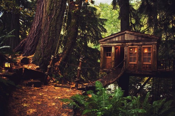 Qui n'a pas rêvé de construire sa propre cabane dans les arbres?