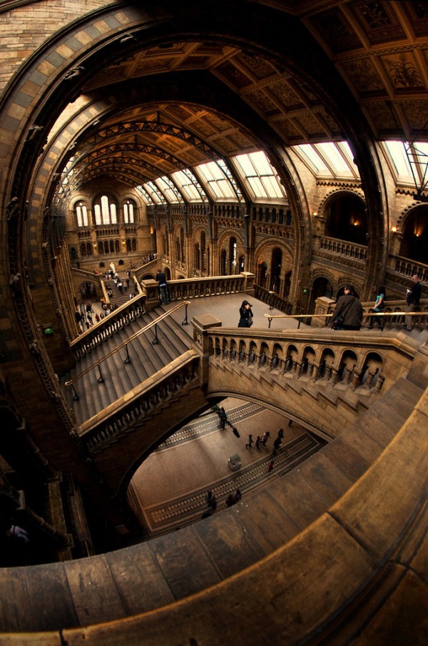 Le grand hall du musée d'histoire naturelle de Londres
