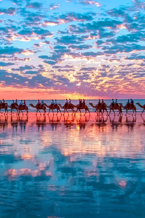 Balade en chameaux en Australie
