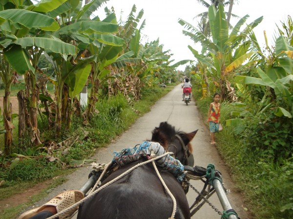 La carriole pour découvrir la campagne du vietnam
